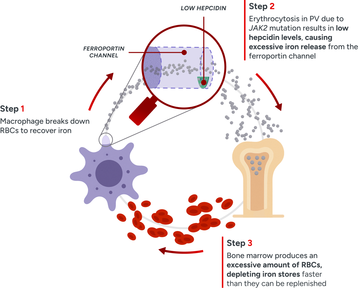 dysregulated iron metabolism