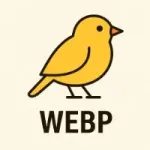 bir-webp